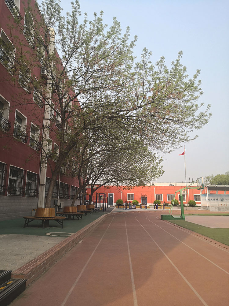 南校区校园春色一隅.jpg